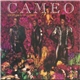 Cameo - Emotional Violence